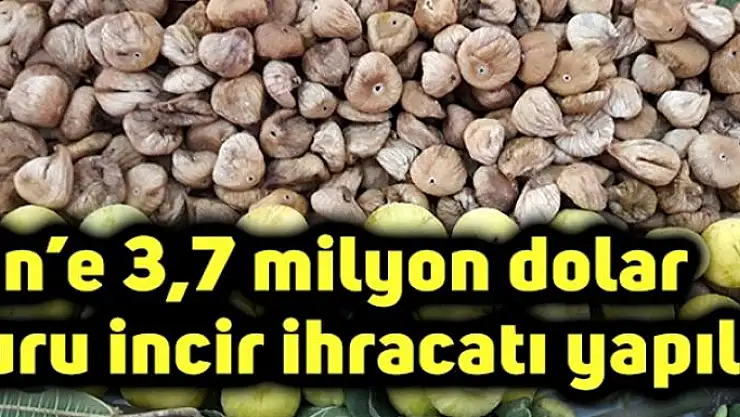 Çin'e 3,7 milyon dolar kuru incir ihracatı yapıldı