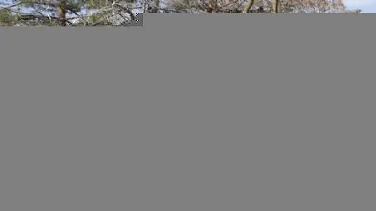 'BUZHANE' OLDU TOZHANE