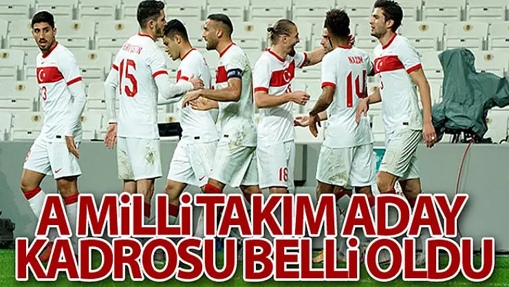 A Milli Takım aday kadrosu açıklandı