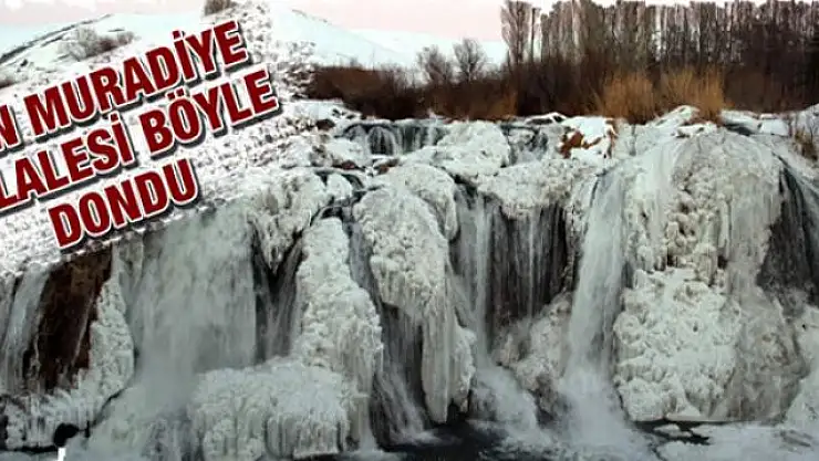 Muradiye Şelalesi tamamen dondu