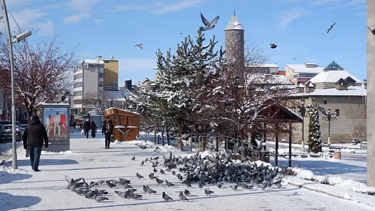 Aç kalan güvercinleri esnaf ve vatandaş besliyor