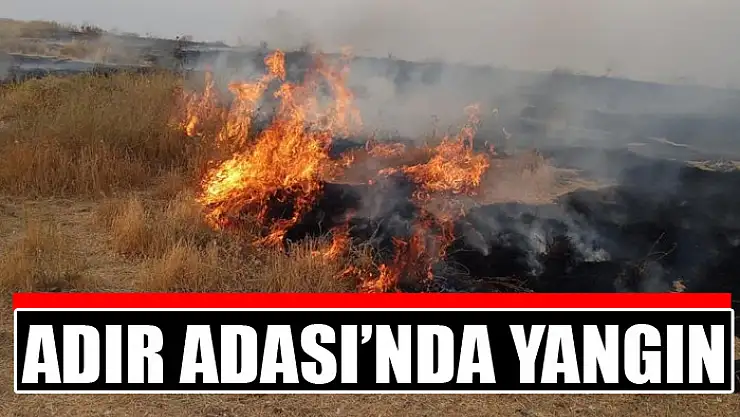 Adır Adası'nda yangın