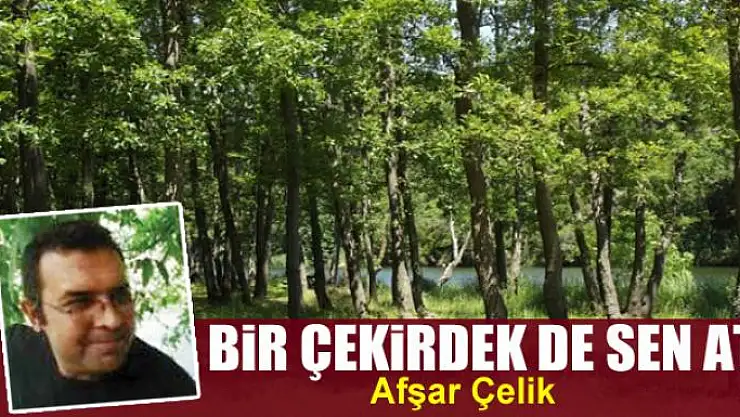 Bir çekirdek de sen at