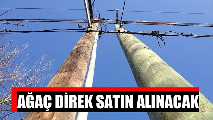 Ağaç direk satın alınacak