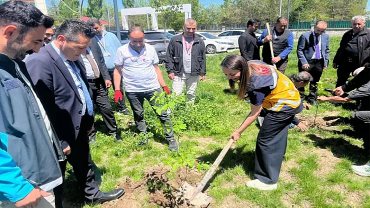 Ağrı'da fidan dikme etkinliği