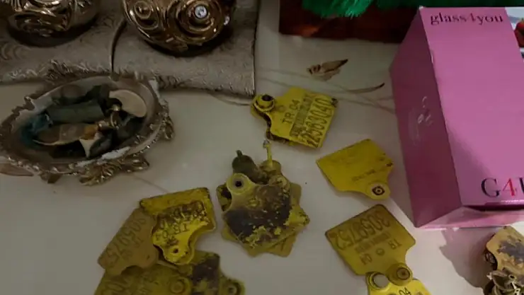 Ağrı'da usulsüz hayvan sevk belgesi operasyonu