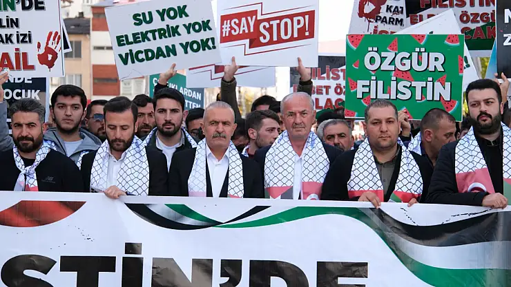 AK Parti Gençlik Kollarından Filistin'e destek