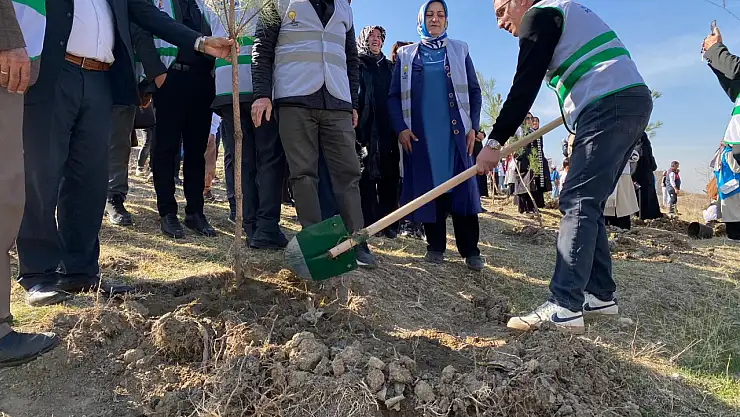 AK Parti Van, fidanları toprakla buluşturdu