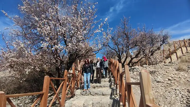 Akdamar Adası'nda bayram tatili yoğunluğu