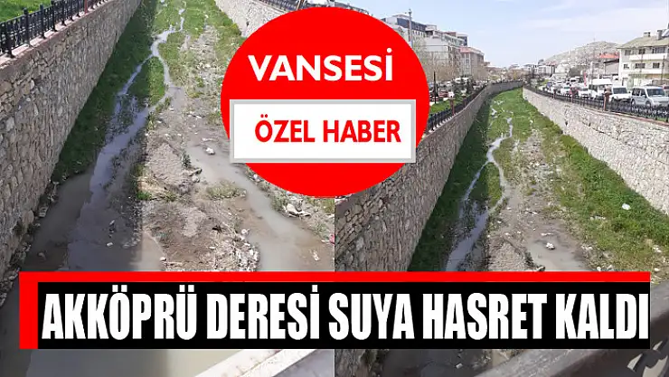 Akköprü Deresi suya hasret kaldı