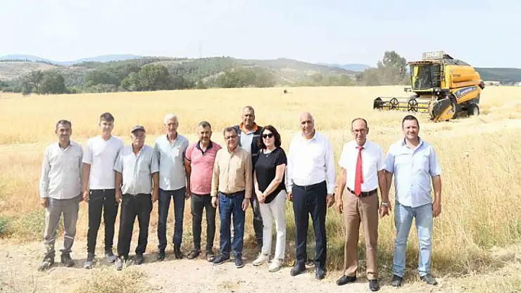 Altıeylül'de altın başak hasadı gerçekleşti
