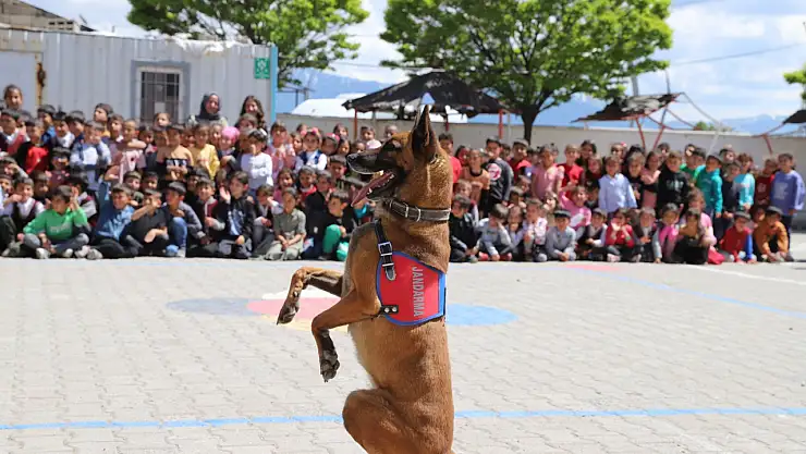 Arama Köpeği Yoga'dan öğrencilere özel gösteri
