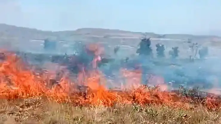 Arazi yangını söndürüldü