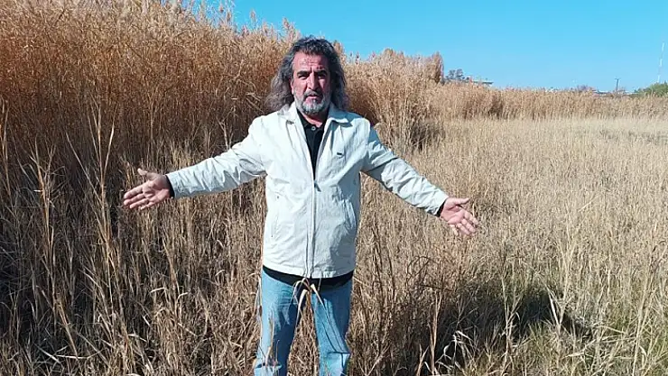 Aslan: Sulak alanlar tabiatın rahimleridir