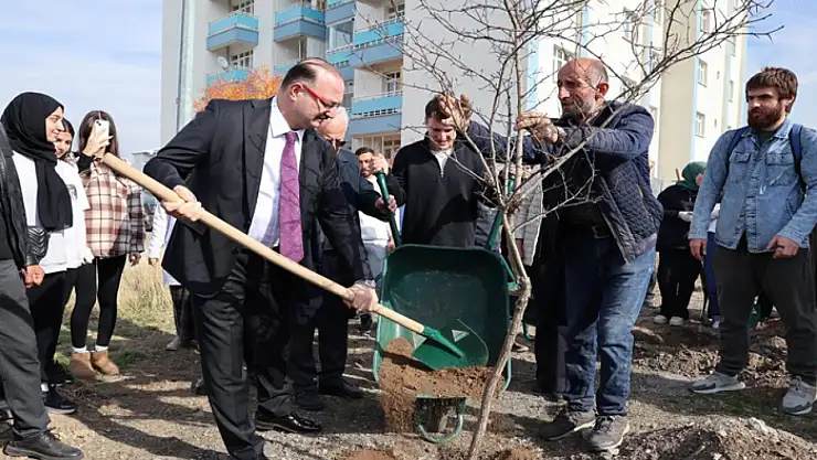 Atatürk Üniversitesinden millî ağaçlandırma gününe destek
