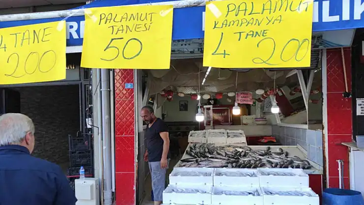 Av yasağı bitti, tezgahlar palamutla doldu