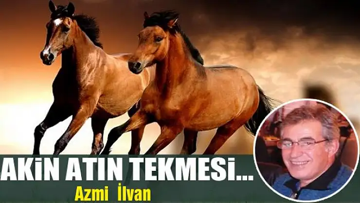 Sakin atın tekmesi...