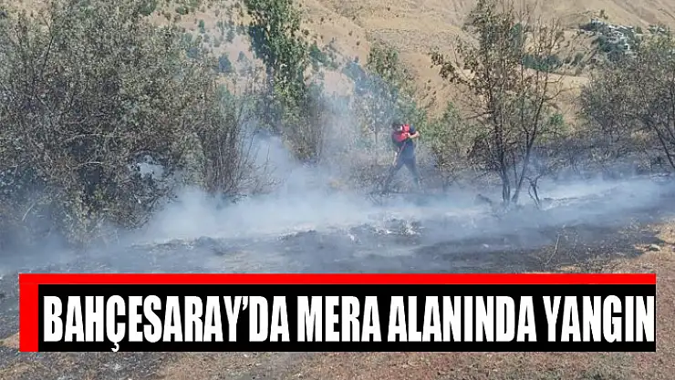 Bahçesaray'da mera alanında yangın