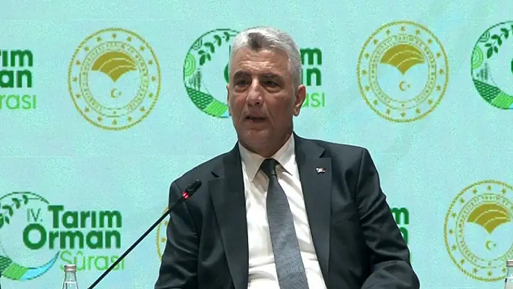 Bakan Bolat, Japonya yolcusu