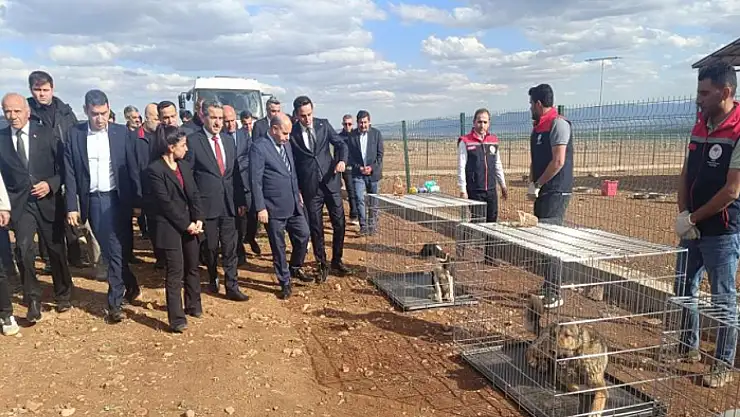 Bakan Yardımcısı Aktaş'ın Şırnak temasları