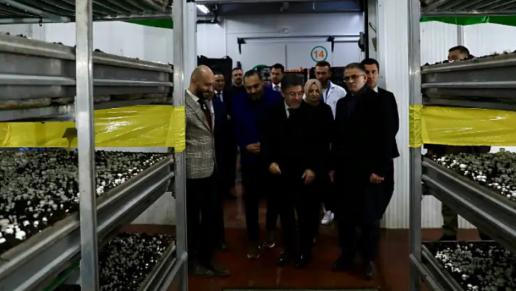 Bakan Yumaklı Van'da mantar üretim tesisini ziyaret etti