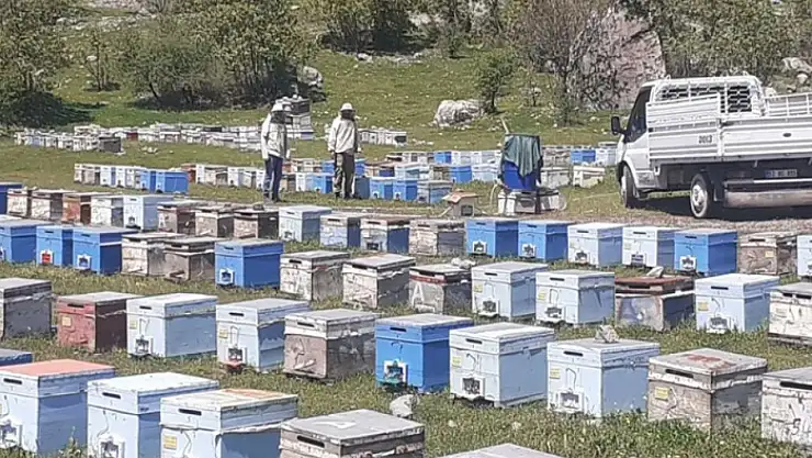 Bal üretim sezonu başladı
