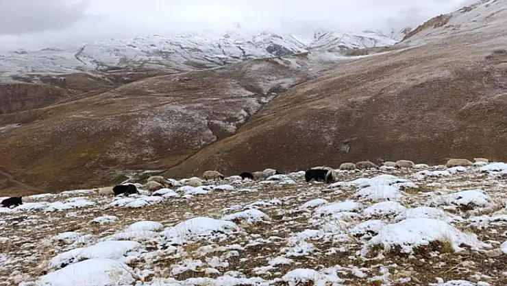 Başkale'de mevsimin ilk karı yağdı