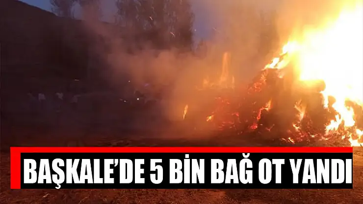 Başkale'de 5 bin bağ ot yandı