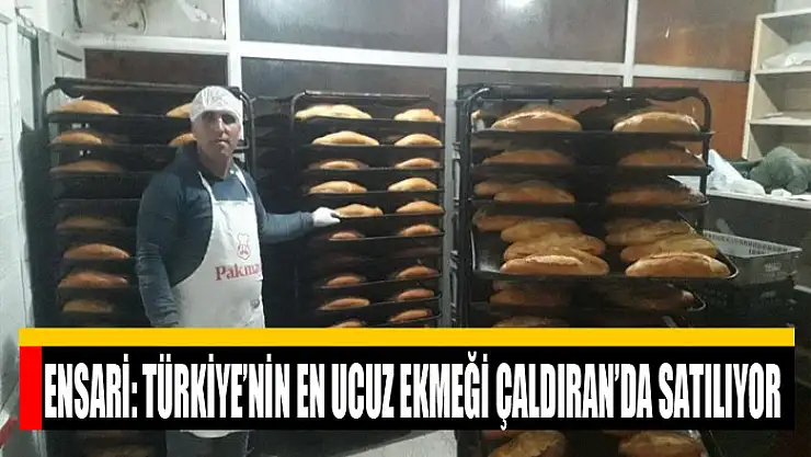 Başkan Ensari: Türkiye'nin en ucuz ekmeği Çaldıran'da satılıyor