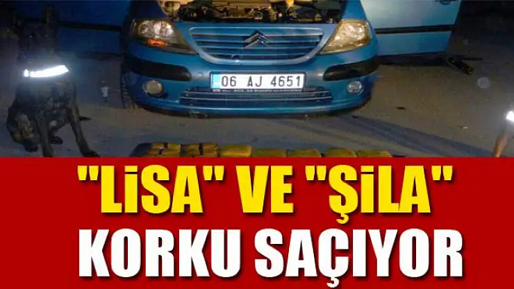 Kaçakçıların korkulu rüyası: 'Lisa' ve 'Şila' 