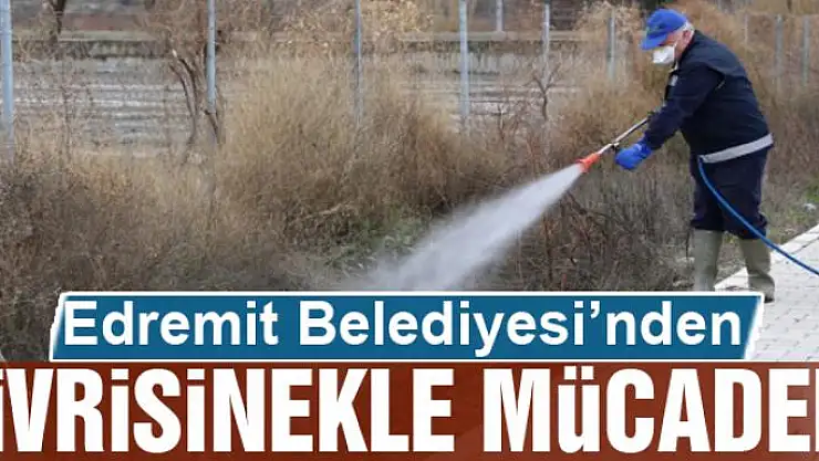 Edremit'te sivrisinekle mücadele
