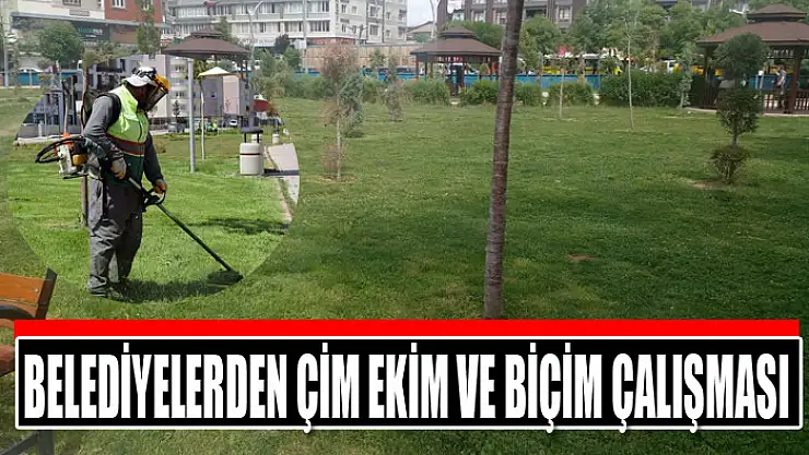 Belediyelerden çim ekim ve biçim çalışması