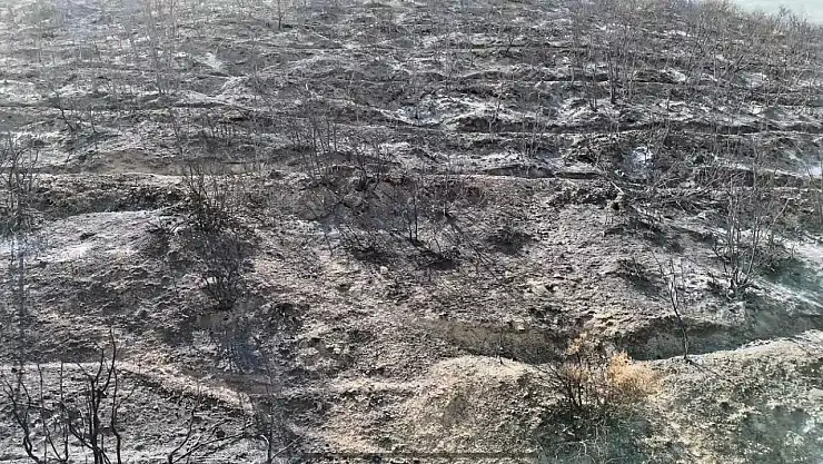 Bilecik'te orman yangını sonrası yürek burkan manzara havadan görüntülendi