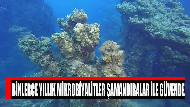 Binlerce yıllık mikrobiyalitler şamandıralar ile güvende