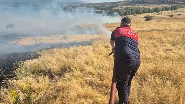 Bitlis'te iki ayrı noktada örtü yangını