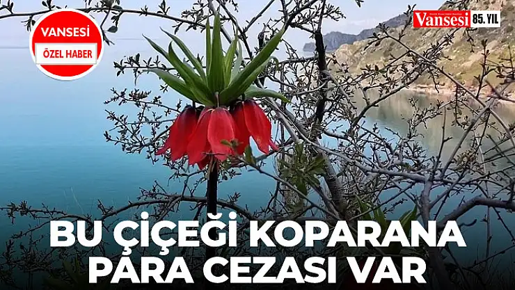 Bu çiçeği koparana para cezası var