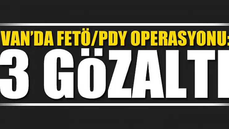 Van'da FETÖ/PDY operasyonu: 3 gözaltı