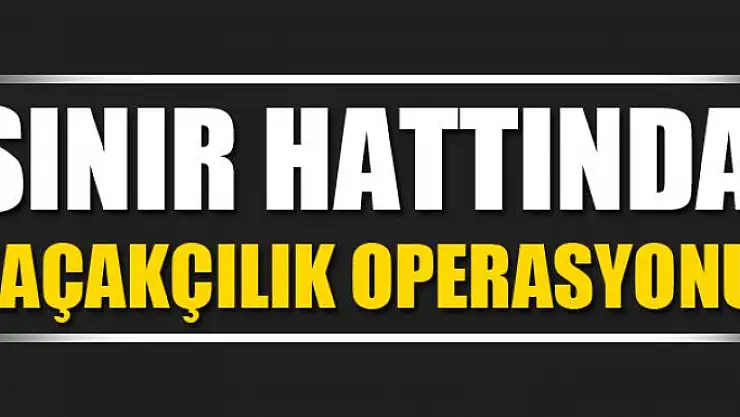 Sınır hattında kaçakçılık operasyonu
