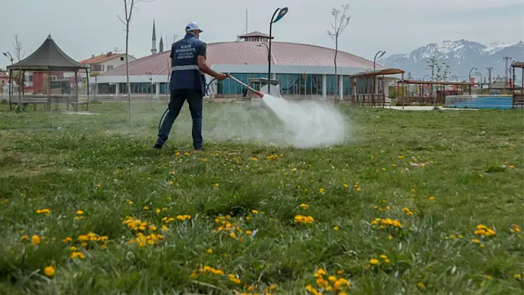 Büyükşehir'den ilaçlama çalışması