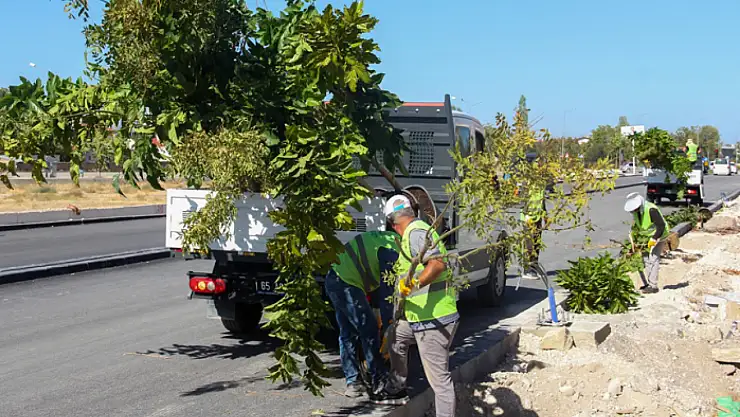 Büyükşehir'den Terzioğlu Caddesi'ne yeşil dokunuş