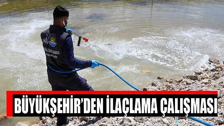 Büyükşehir'den ilaçlama çalışması