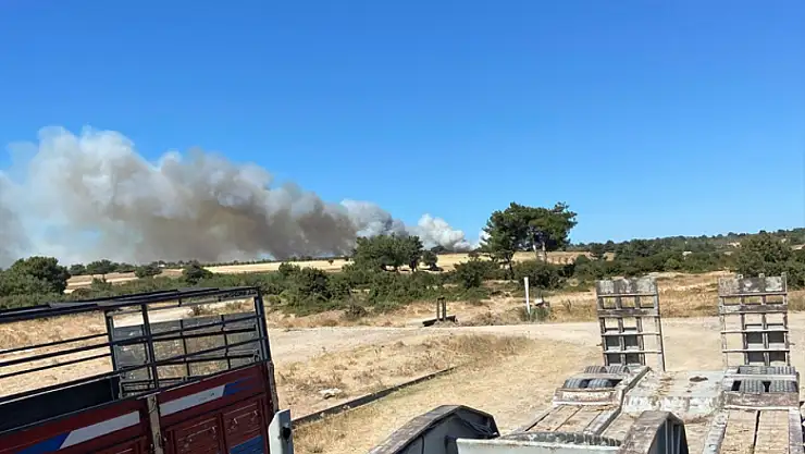 Çanakkale'de orman yangını