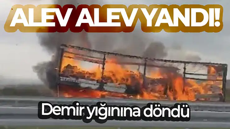 Çanakkale'de seyir halindeki tırın dorsesinde yangın çıktı