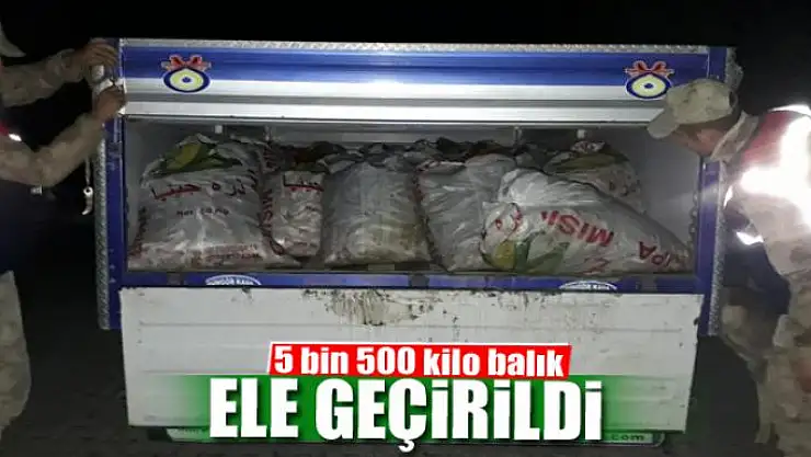 5 bin 500 kilo balık ele geçirildi 