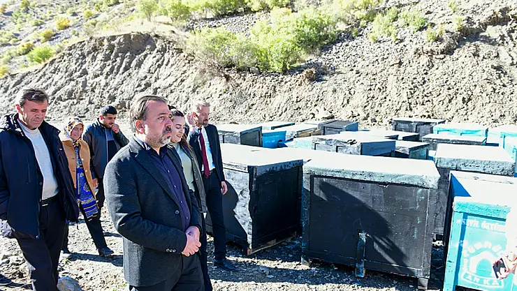Çatak'ta sahipsiz hayvanlar için barınak yapılıyor