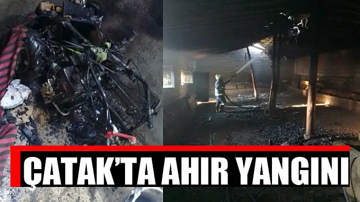 Çatak'ta ahır yangını