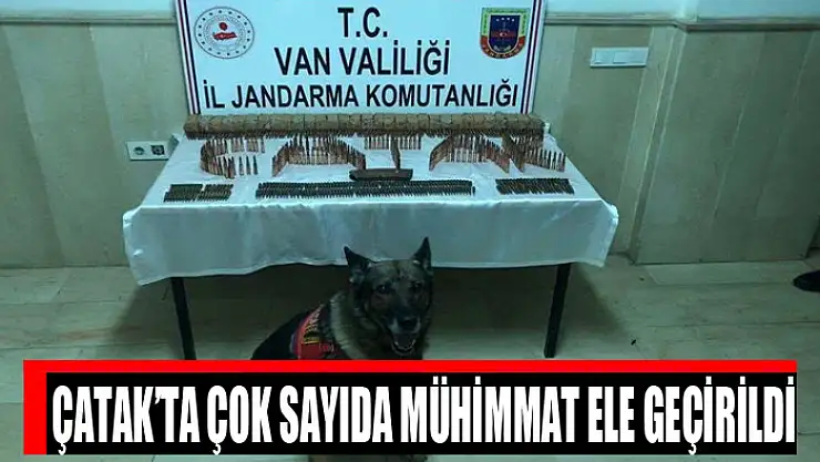 Çatak'ta çok sayıda mühimmat ele geçirildi