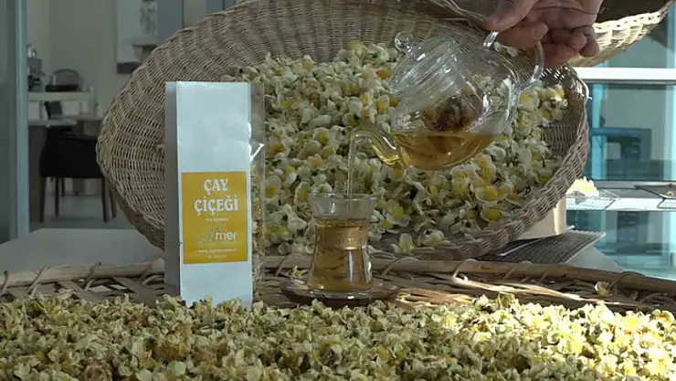 Çayın yeni ürünü 'Çay çiçeği çayı' 6 bin TL'den satılıyor