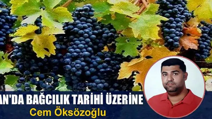 Van'da bağcılık  tarihi üzerine