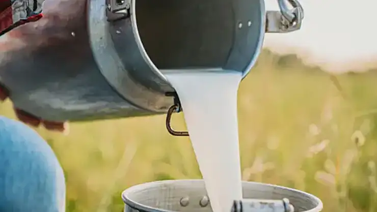 Çiğ süt üretimi azaldı